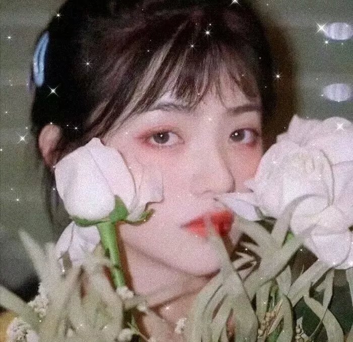 辛巴达与美人鱼公主