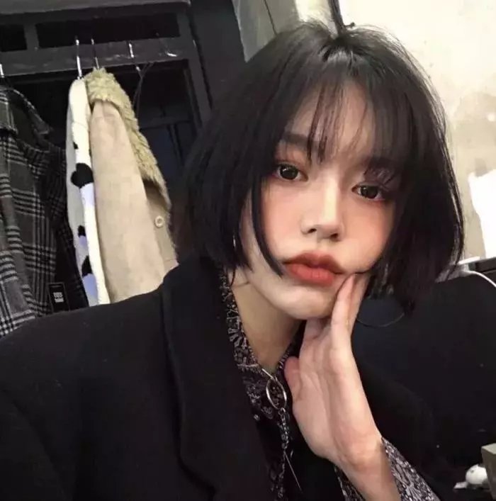 红色白鹦鹉